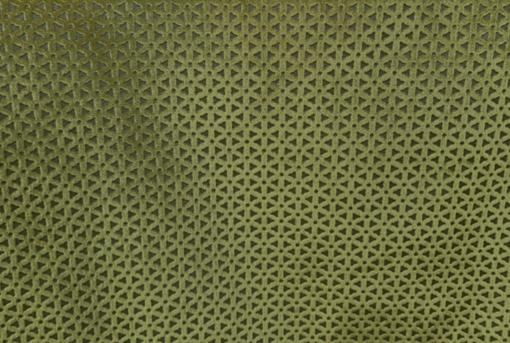 Trinket parrot fabric (Mystical)